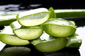 Aloe-Vera-Gel-Benefits[fusion_builder_container hundred_percent=