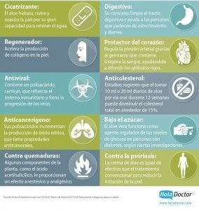 beneficios aloe vera